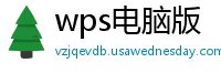 wps电脑版